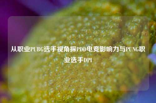 从职业PUBG选手视角探PDD电竞影响力与PUNG职业选手DPI