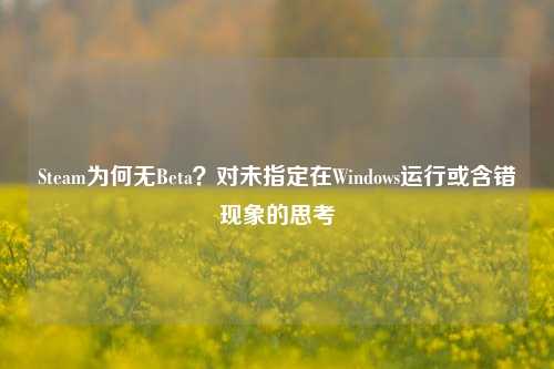 Steam为何无Beta？对未指定在Windows运行或含错现象的思考