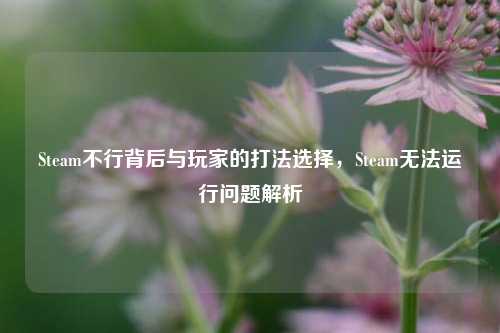Steam不行背后与玩家的打法选择，Steam无法运行问题解析