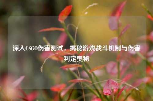 深入CSGO伤害测试，揭秘游戏战斗机制与伤害判定奥秘