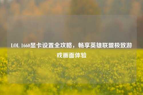 LOL 1660显卡设置全攻略，畅享英雄联盟极致游戏画面体验