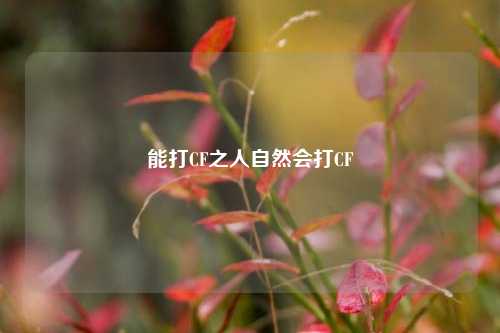 能打CF之人自然会打CF
