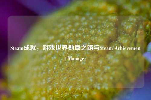 Steam成就，游戏世界勋章之路与Steam Achievement Manager