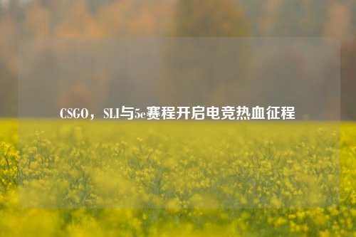 CSGO，SLI与5e赛程开启电竞热血征程