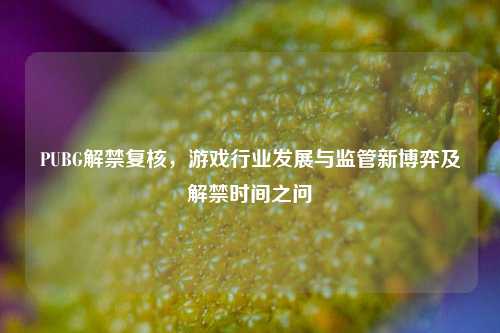 PUBG解禁复核，游戏行业发展与监管新博弈及解禁时间之问