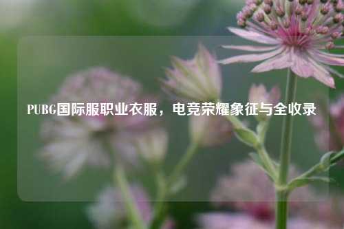 PUBG国际服职业衣服，电竞荣耀象征与全收录