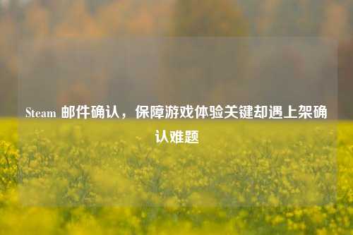 Steam 邮件确认，保障游戏体验关键却遇上架确认难题