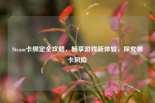 Steam卡绑定全攻略，畅享游戏新体验，探究绑卡风险