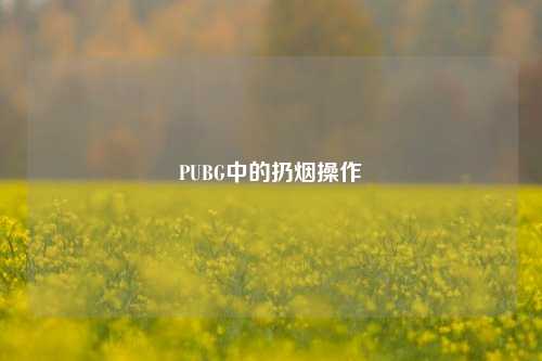 PUBG中的扔烟操作