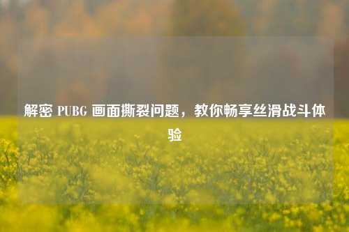 解密 PUBG 画面撕裂问题，教你畅享丝滑战斗体验