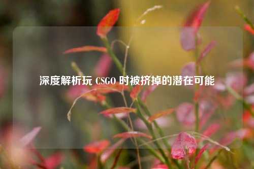 深度解析玩 CSGO 时被挤掉的潜在可能