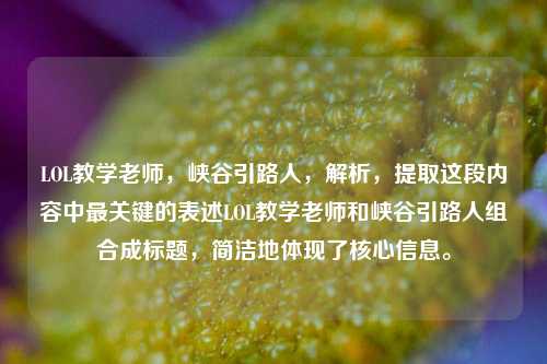 LOL教学老师，峡谷引路人，解析，提取这段内容中最关键的表述LOL教学老师和峡谷引路人组合成标题，简洁地体现了核心信息。