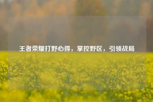 王者荣耀打野心得，掌控野区，引领战局