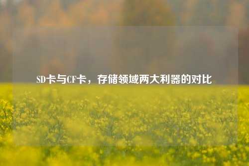 SD卡与CF卡，存储领域两大利器的对比