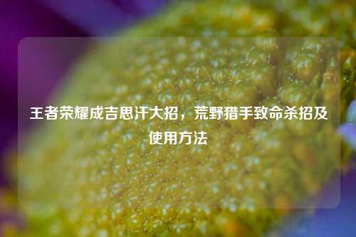 王者荣耀成吉思汗大招，荒野猎手致命杀招及使用方法