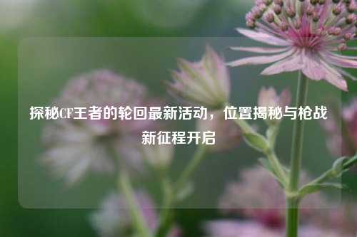 探秘CF王者的轮回最新活动，位置揭秘与枪战新征程开启