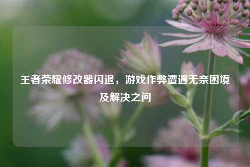 王者荣耀修改器闪退，游戏作弊遭遇无奈困境及解决之问