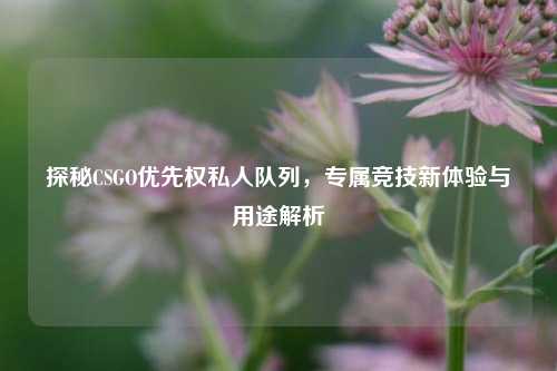 探秘CSGO优先权私人队列，专属竞技新体验与用途解析