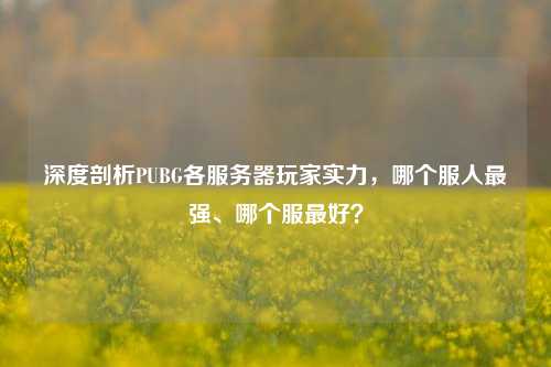 深度剖析PUBG各服务器玩家实力，哪个服人最强、哪个服最好？