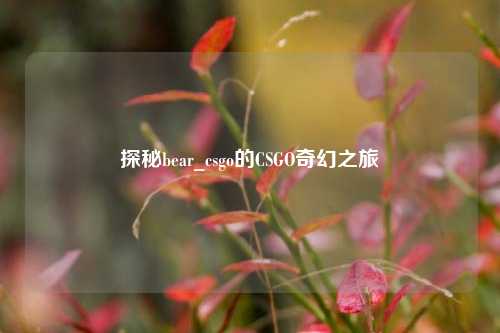 探秘bear_csgo的CSGO奇幻之旅
