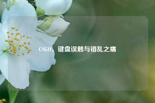 CSGO，键盘误触与错乱之痛