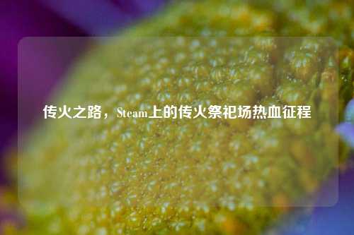传火之路，Steam上的传火祭祀场热血征程