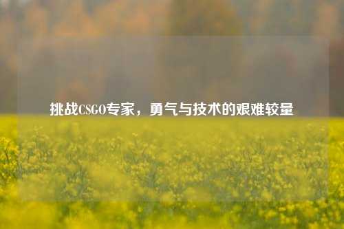 挑战CSGO专家，勇气与技术的艰难较量