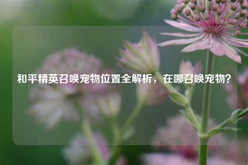 和平精英召唤宠物位置全解析，在哪召唤宠物？