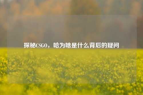 探秘CSGO，哈为啥是什么背后的疑问