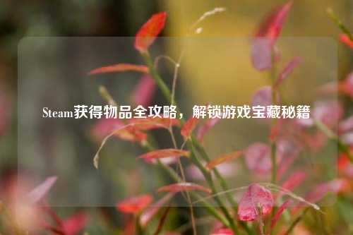 Steam获得物品全攻略，解锁游戏宝藏秘籍