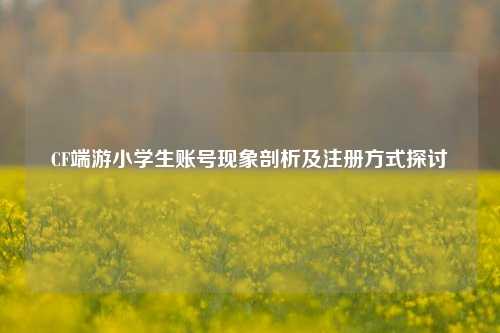 CF端游小学生账号现象剖析及注册方式探讨