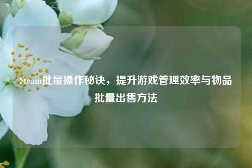 Steam批量操作秘诀，提升游戏管理效率与物品批量出售方法