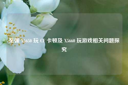 至强 X5650 玩 CF 卡顿及 X5660 玩游戏相关问题探究