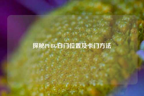 探秘PUBG白门位置及卡门方法