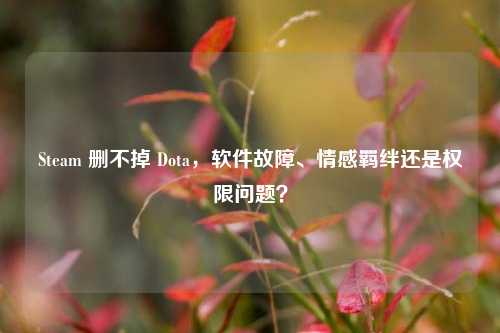 Steam 删不掉 Dota，软件故障、情感羁绊还是权限问题？