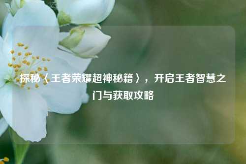 探秘〈王者荣耀超神秘籍〉，开启王者智慧之门与获取攻略