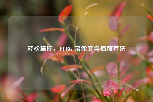 轻松掌握，PUBG 录像文件播放方法