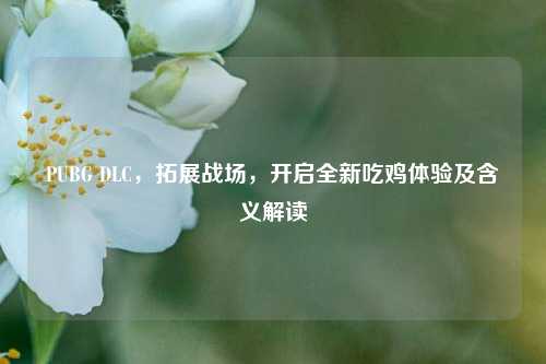 PUBG DLC，拓展战场，开启全新吃鸡体验及含义解读