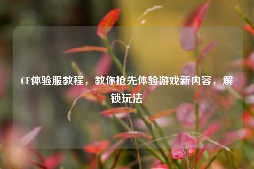 CF体验服教程，教你抢先体验游戏新内容，解锁玩法
