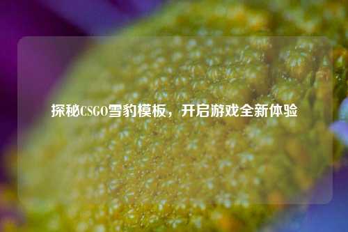 探秘CSGO雪豹模板，开启游戏全新体验