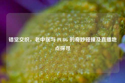 错觉交织，老中医与 PUBG 的奇妙碰撞及直播地点探寻