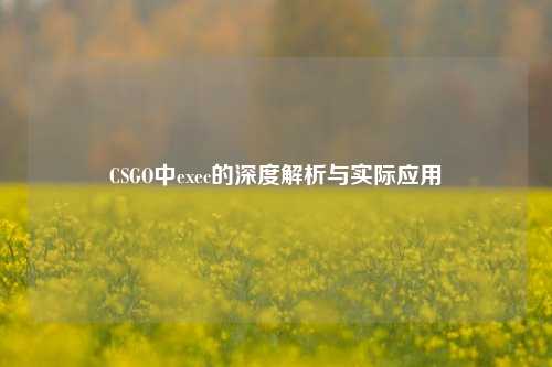 CSGO中exec的深度解析与实际应用