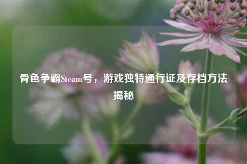 骨色争霸Steam号，游戏独特通行证及存档方法揭秘