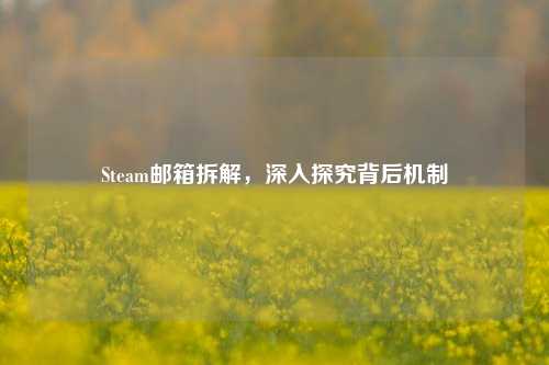 Steam邮箱拆解，深入探究背后机制