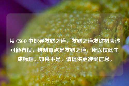 从 CSGO 中探寻发财之道，发财之道发财树表述可能有误，推测重点是发财之道，所以按此生成标题。如果不是，请提供更准确信息。