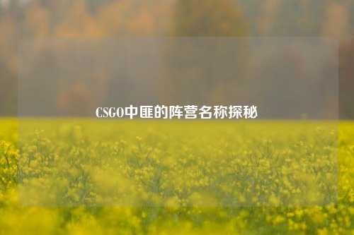 CSGO中匪的阵营名称探秘