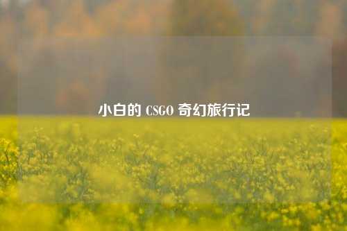 小白的 CSGO 奇幻旅行记
