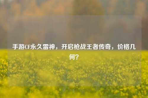 手游CF永久雷神，开启枪战王者传奇，价格几何？