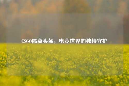 CSGO隔离头盔，电竞世界的独特守护