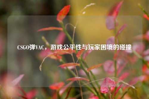 CSGO弹VAC，游戏公平性与玩家困境的碰撞